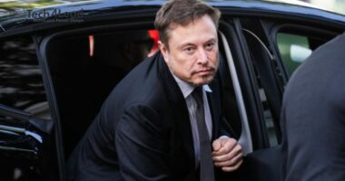 Elon Musk has slashed many of the content and safety policy jobs on X, formerly known as Twitter. PHOTO: TOM WILLIAMS/ZUMA PRESS